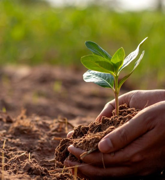 How can soil degradation influence the environment?